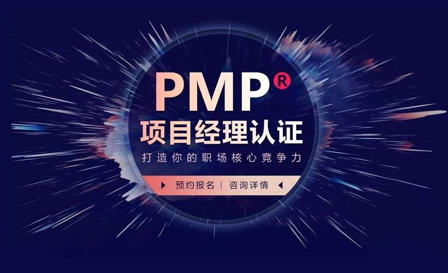 PMPnҪX