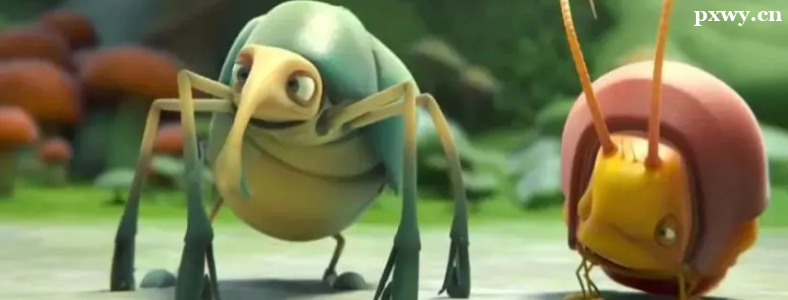 WӋCӮy