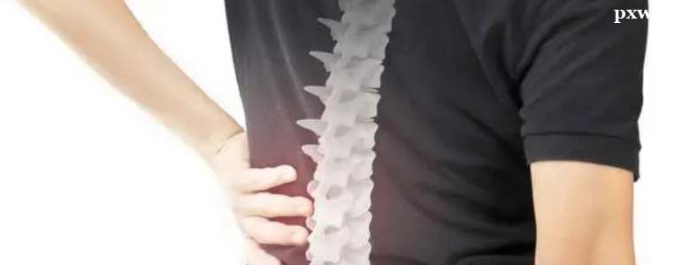 ذl(f)Լ(c)͹Ŀ(f)ίЩ