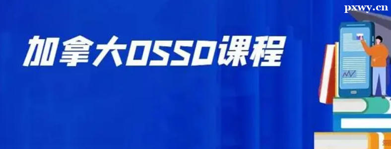 OSSDnyy