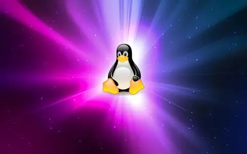 LinuxӖ(xn)C(gu)ôx