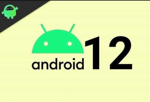 Android 12_(ki)l(f)Ӗ(xn)