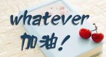 t(y)W(xu)Ӗ(xn)