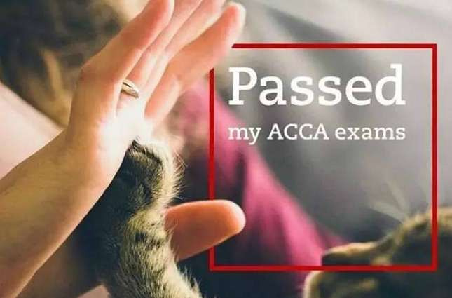 ACCAԇPAεİЩԇĿ