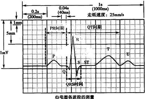 펟俼c(din):늈DzRt(y)W(xu)\(yn)