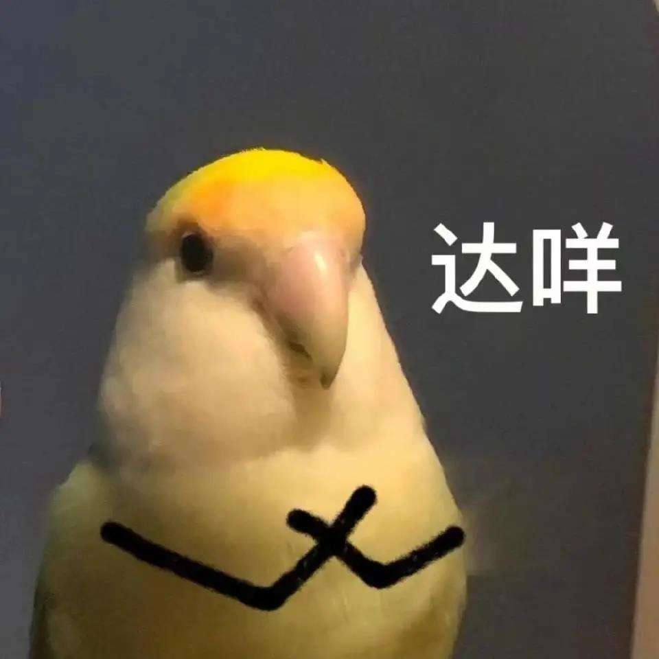 (gu)W(xu)CN㶼֪᣿