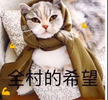 (gu)W(xu)c2022갣Ơ(jing)W(xu)Ո(qng)_ͨ