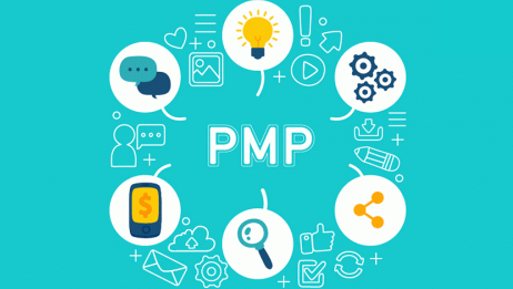 (bo)PMP(xing)ĿǰҪ˽ă(ni)