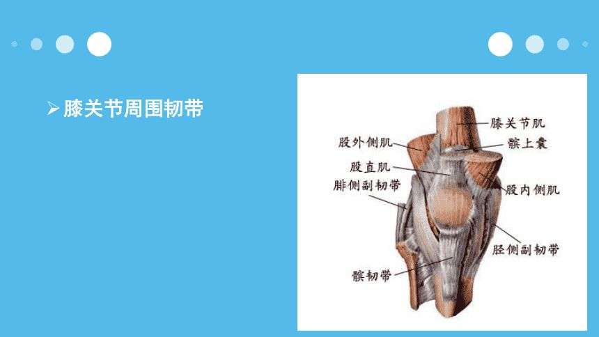 ϥP(gun)ڻӕrP(gun)(ji)׆