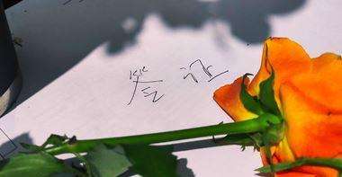 ȥ_˹W(xu)kCҪЩ