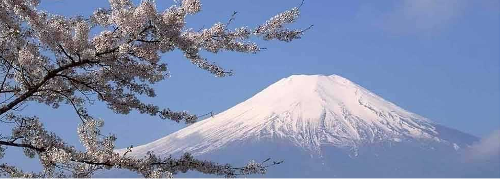 ձW(yu)ݼձTWՈ