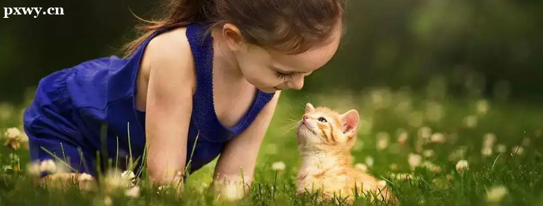 Ӳ׌Ըĺӿ