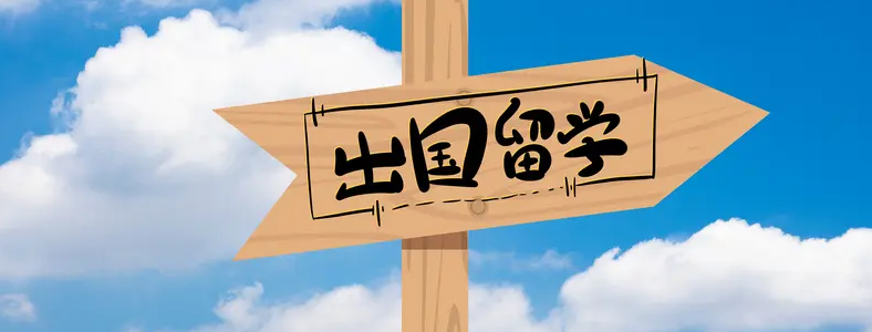 ձW(xu)lʲô