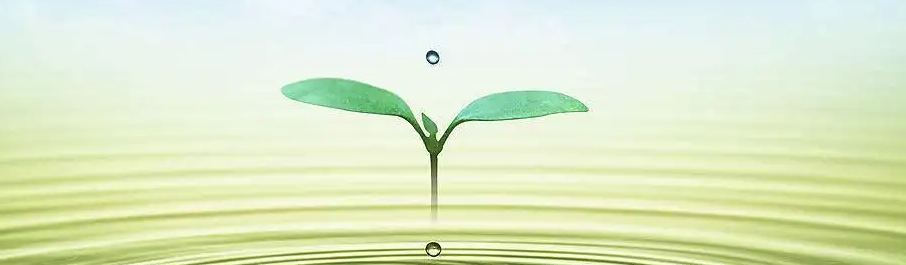 펟I(lng)ȡa(b)Nľw