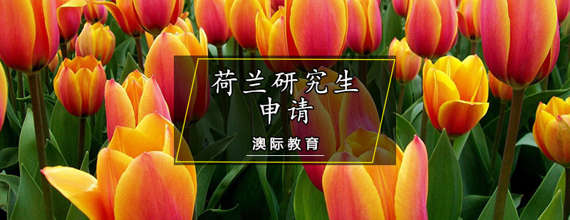 mоW(xu)Ո
