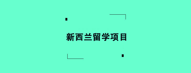 mW(xu)(xing)Ŀ