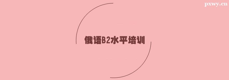 Z(y)B2ˮƽӖ(xn)