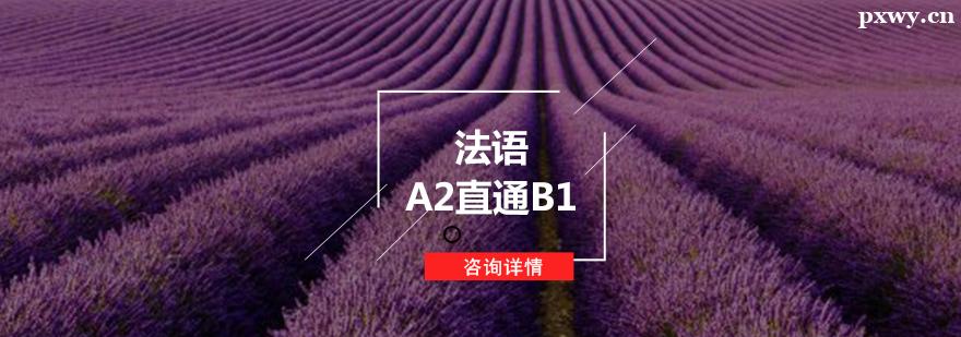 ZA2ֱͨB1Ӗ(xn)