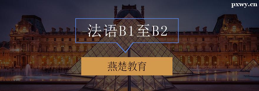 Z(y)B1B2Ӗ(xn)