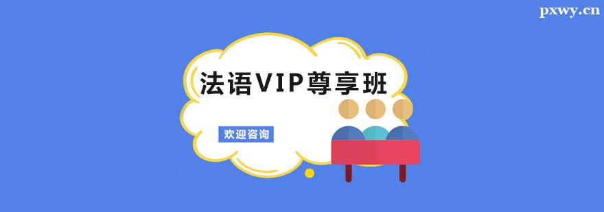 ZVIPӖ