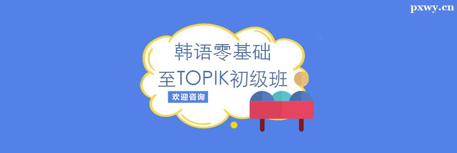nZA(ch)TOPIK(j)Ӗ(xn)