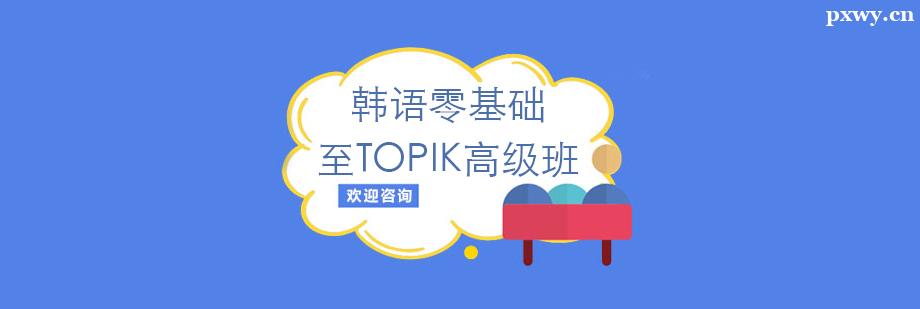 nZA(ch)TOPIK߼Ӗ(xn)