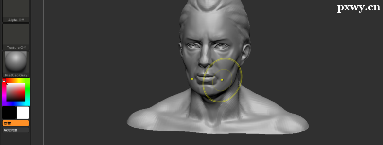 WZBrushʲô