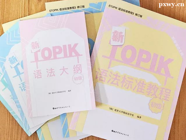 TOPIK俼Ӗ(xn)ôx