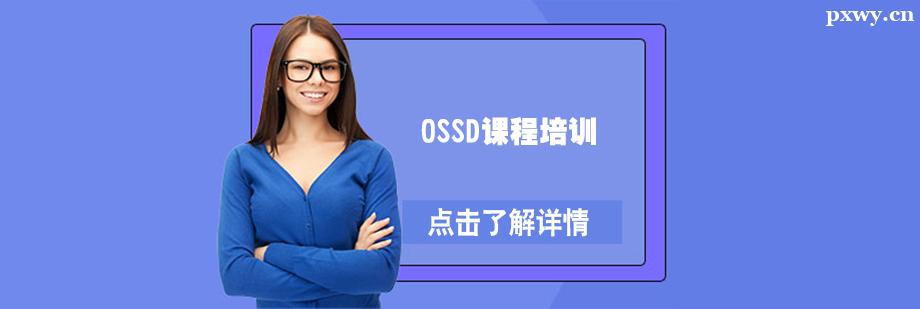 OSSDnӖ(xn)