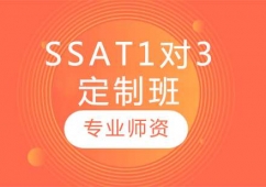 L(zhng)SSAT1(du)3Ӗ(xn)